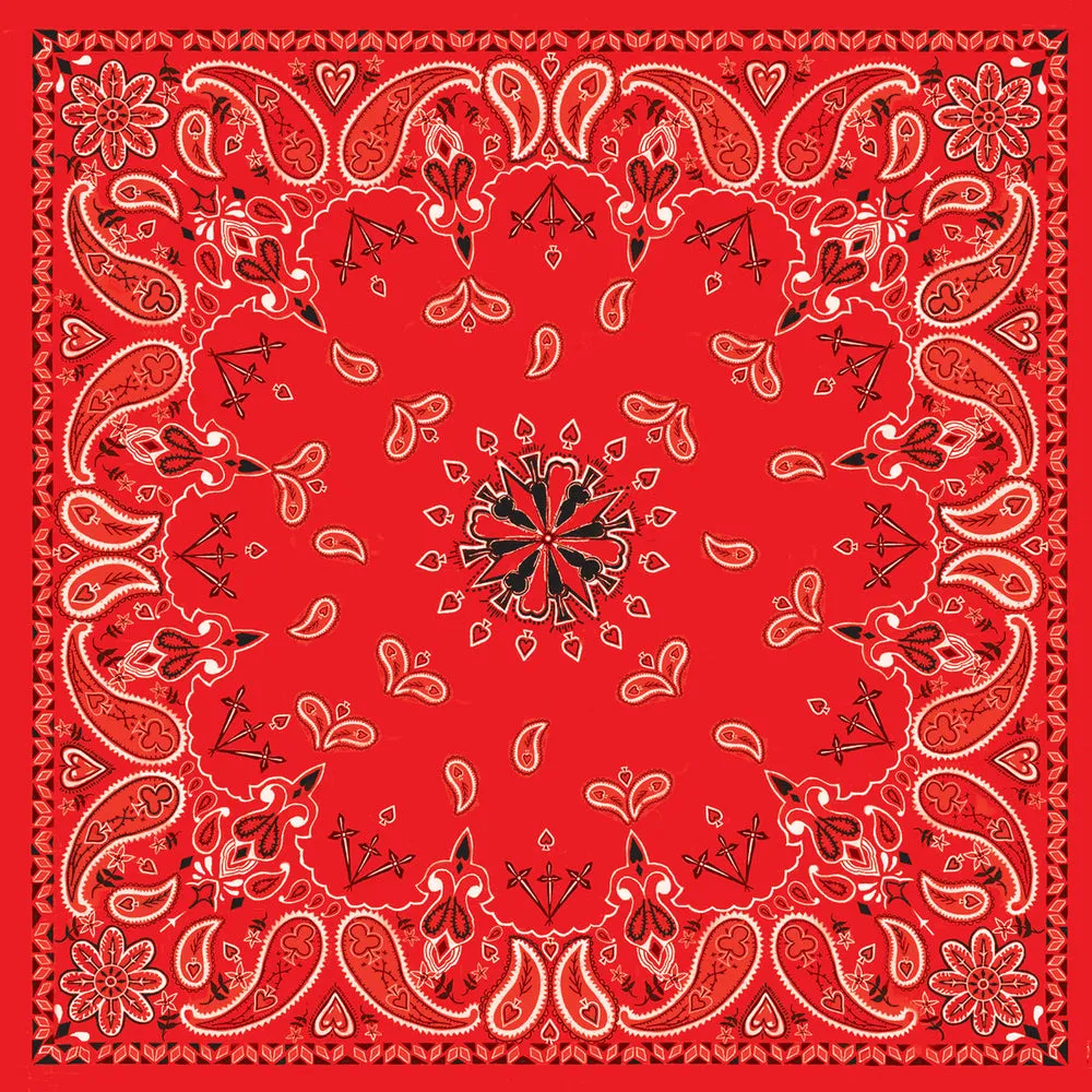 B003- Bandanna Red Paisley