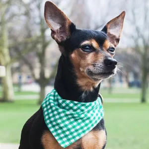 Creature Clothes Slip On Dog Bandana Green Gingham