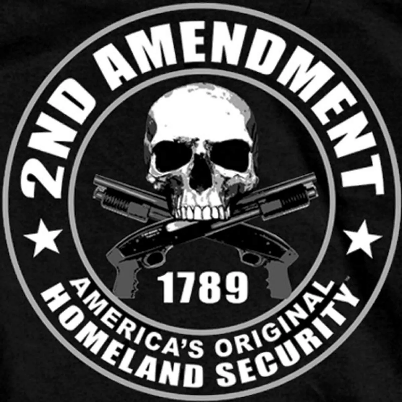 Hot Leathers GMD1158 Mens '2nd Amendment America's Original Homeland