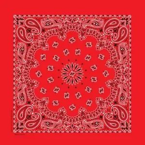 NT4401 Bandana Paisley Red