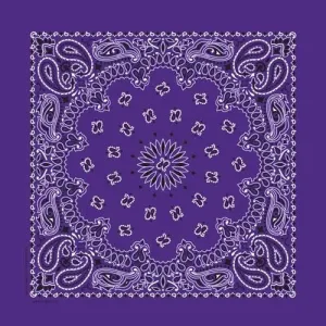 NT4406 Bandana Paisley Purple