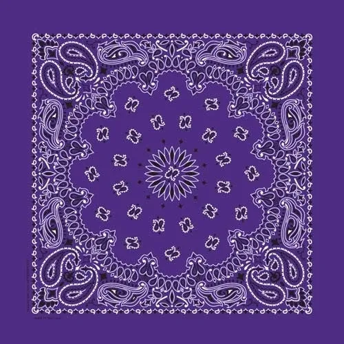 NT4406 Bandana Paisley Purple