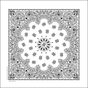 NT4409 Bandana Paisley White