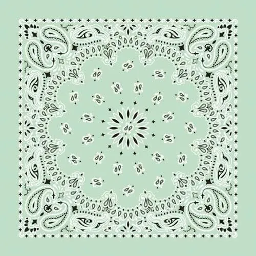 NT4414 Bandana Paisley Mint