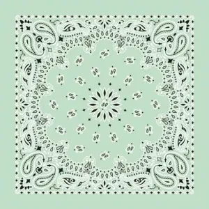 NT4414 Bandana Paisley Mint